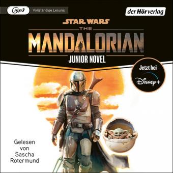 Star Wars: The Mandalorian 